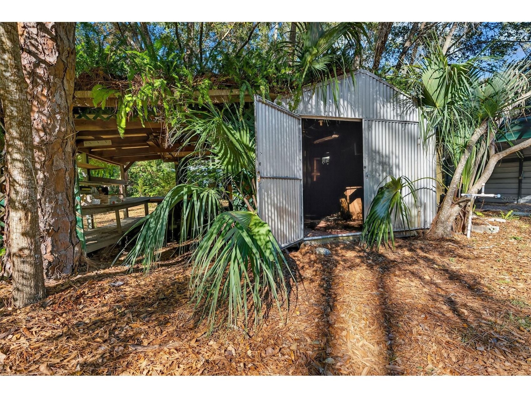 1741 N Crooked Branch Drive Lecanto FL 34461 OM718433 image56