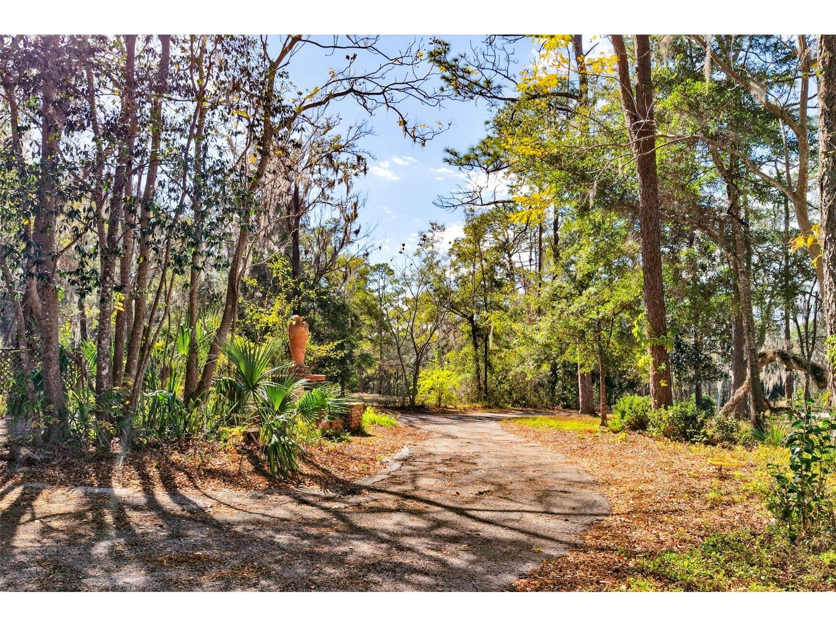 1741 N Crooked Branch Drive Lecanto FL 34461 OM718433 image59