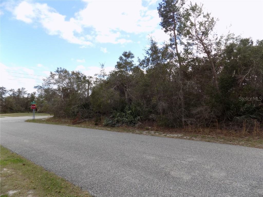 1741 N Tanner Court Deltona FL 32725 O6139279 image1