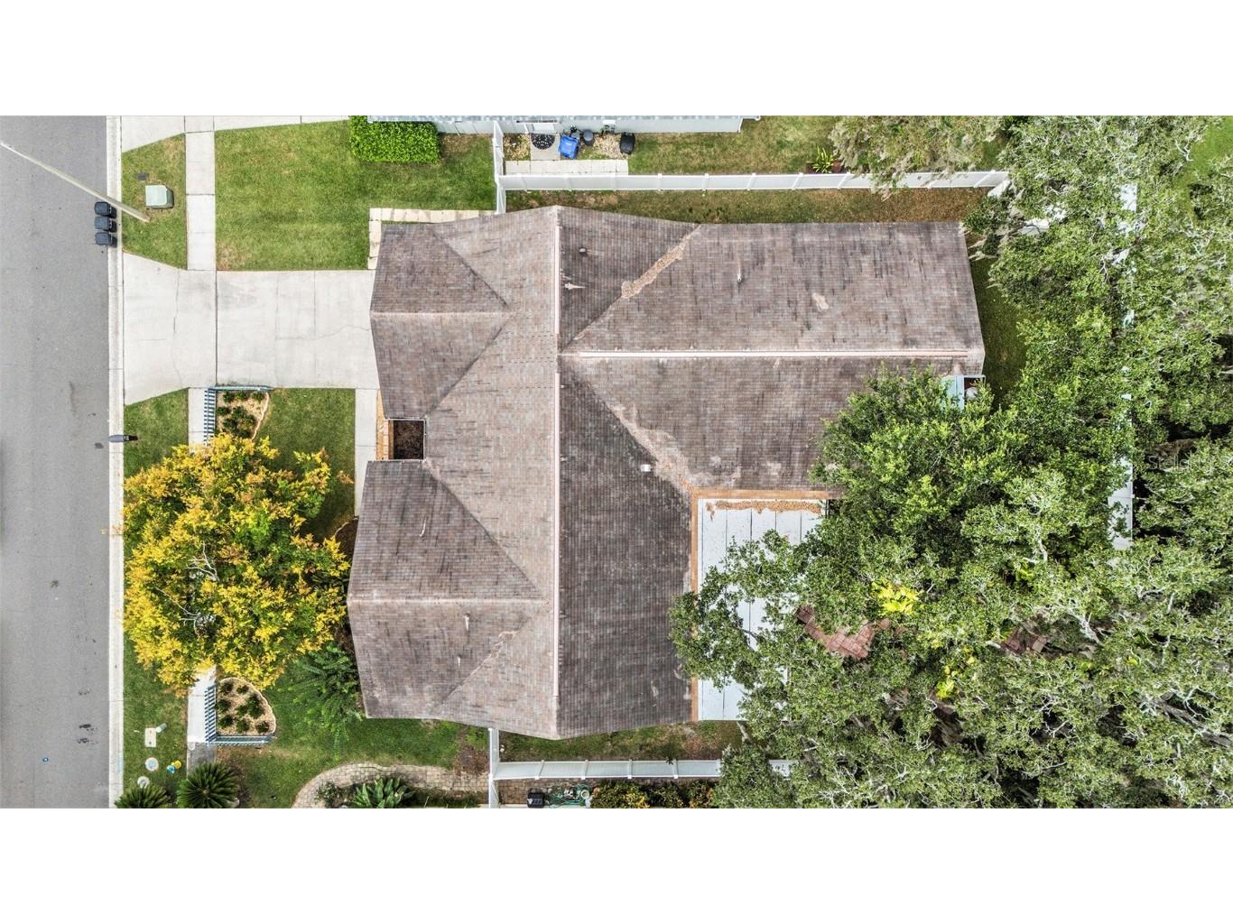 1741 Shady Leaf Drive Valrico FL 33596 TB8437354 image32