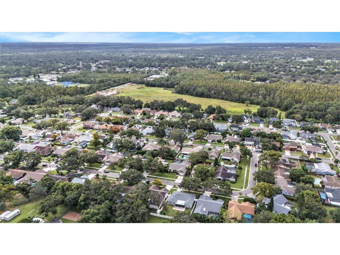 1741 Shady Leaf Drive Valrico FL 33596 TB8437354 image34