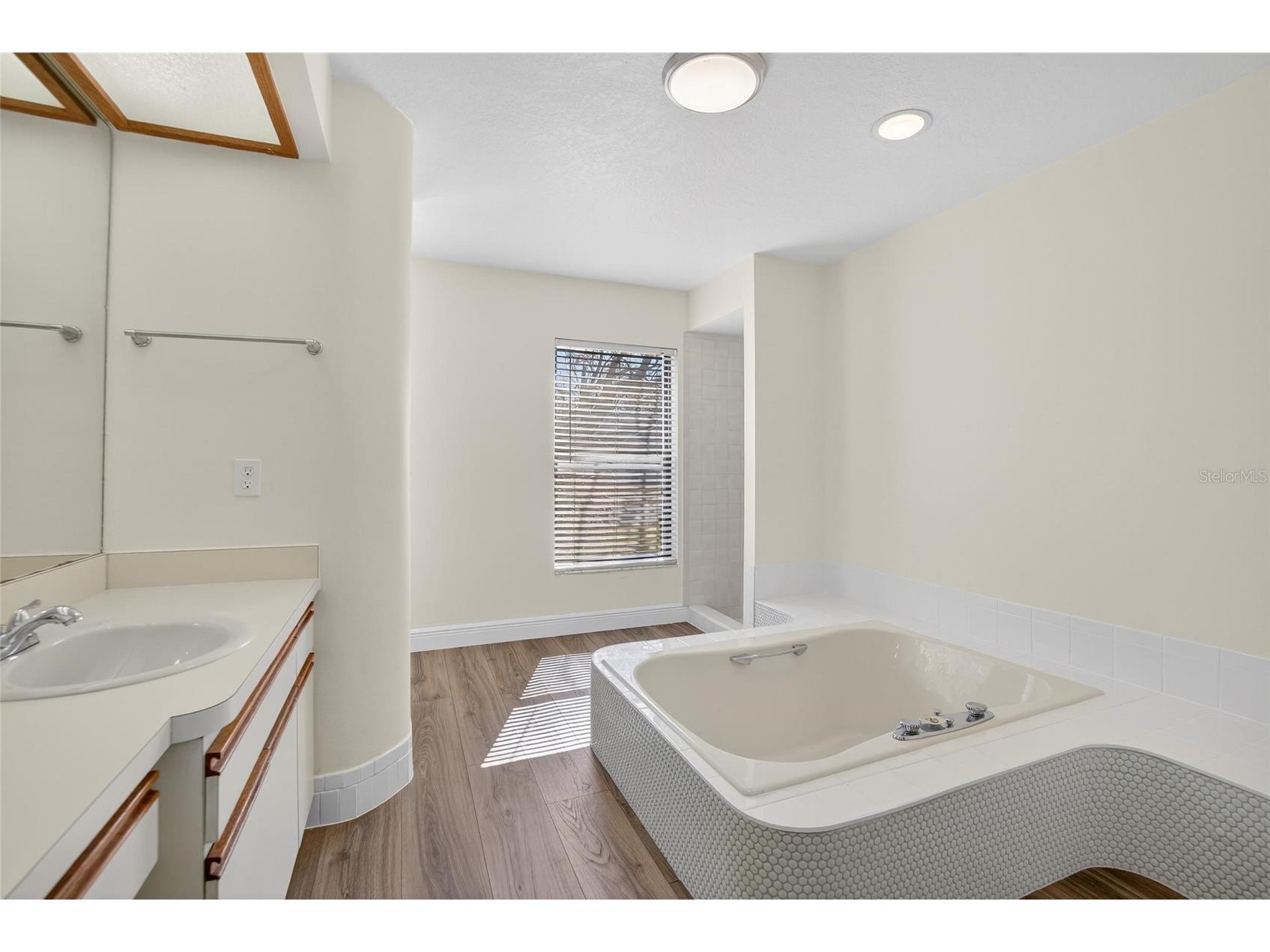 1741 Shady Leaf Drive Valrico FL 33596 TB8476547 image27