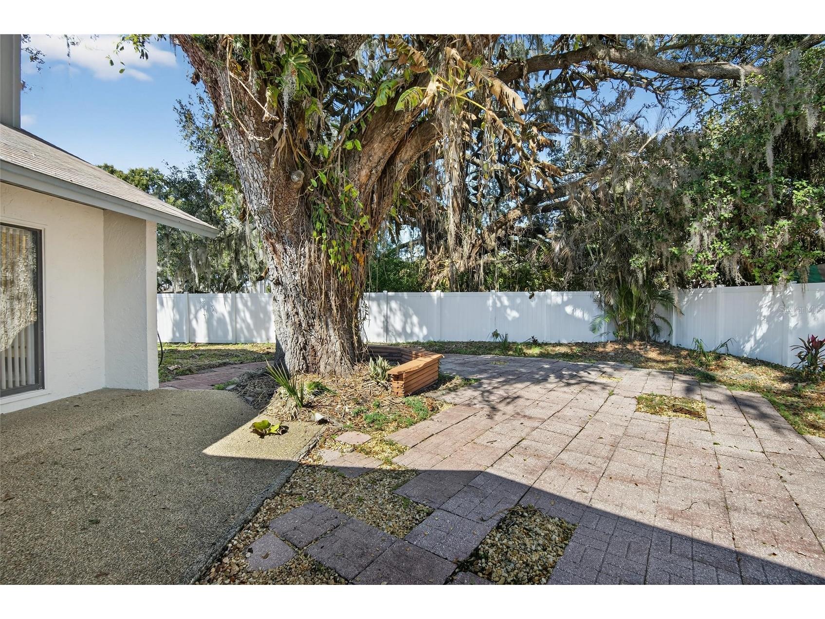 1741 Shady Leaf Drive Valrico FL 33596 TB8476547 image49