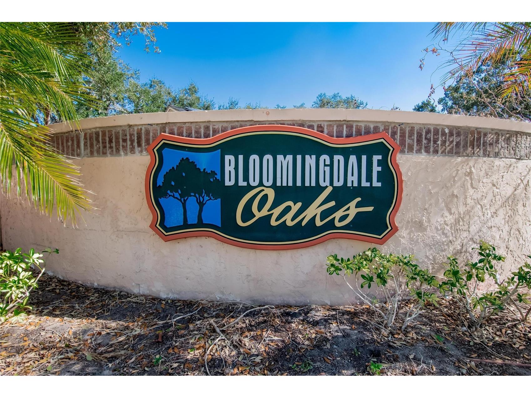 1741 Shady Leaf Drive Valrico FL 33596 TB8476547 image57