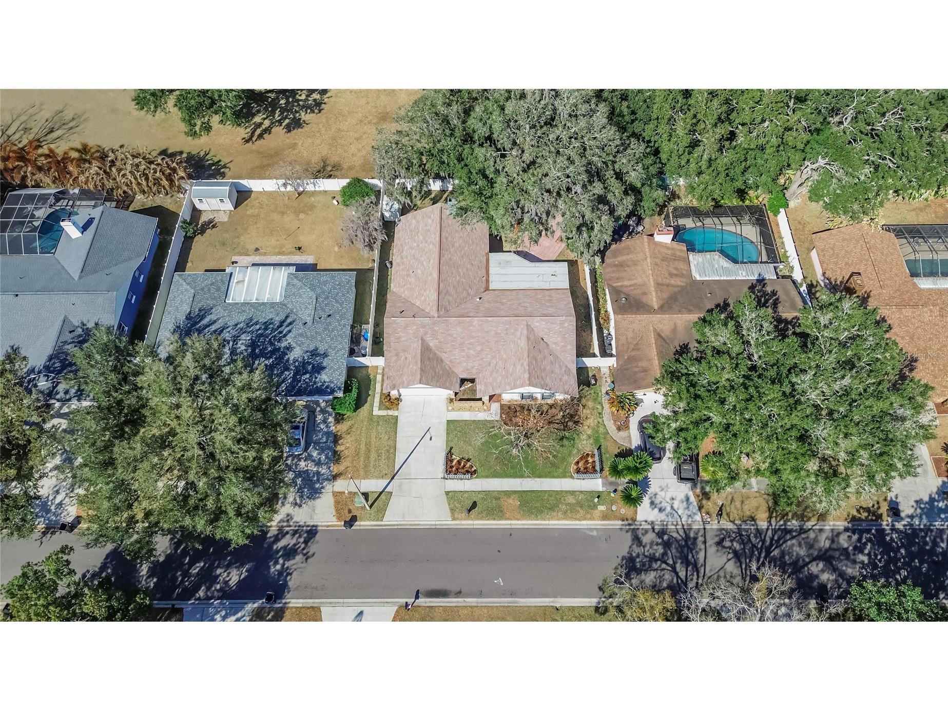 1741 Shady Leaf Drive Valrico FL 33596 TB8476547 image59