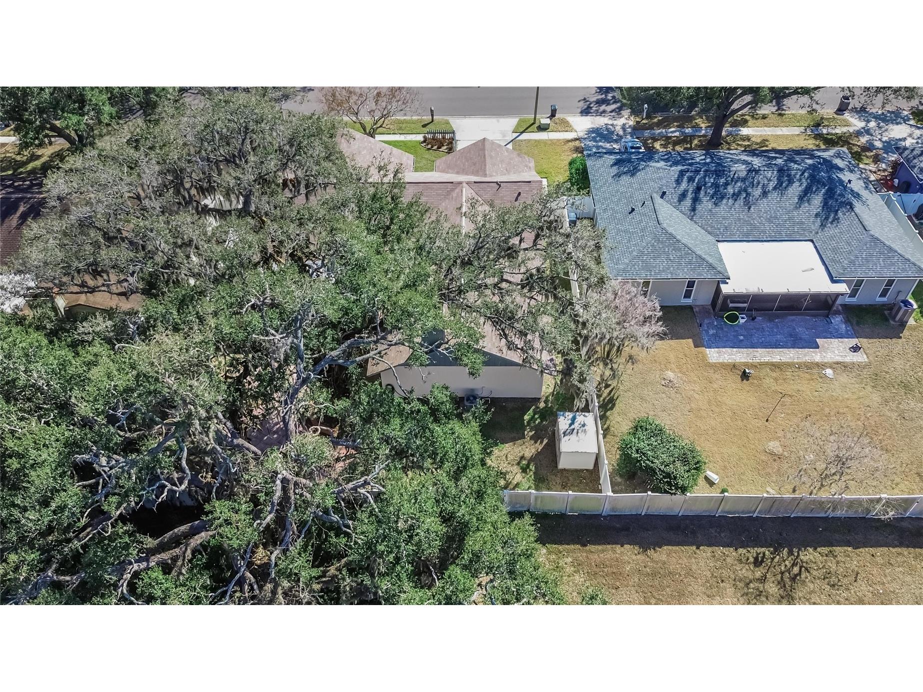 1741 Shady Leaf Drive Valrico FL 33596 TB8476547 image64