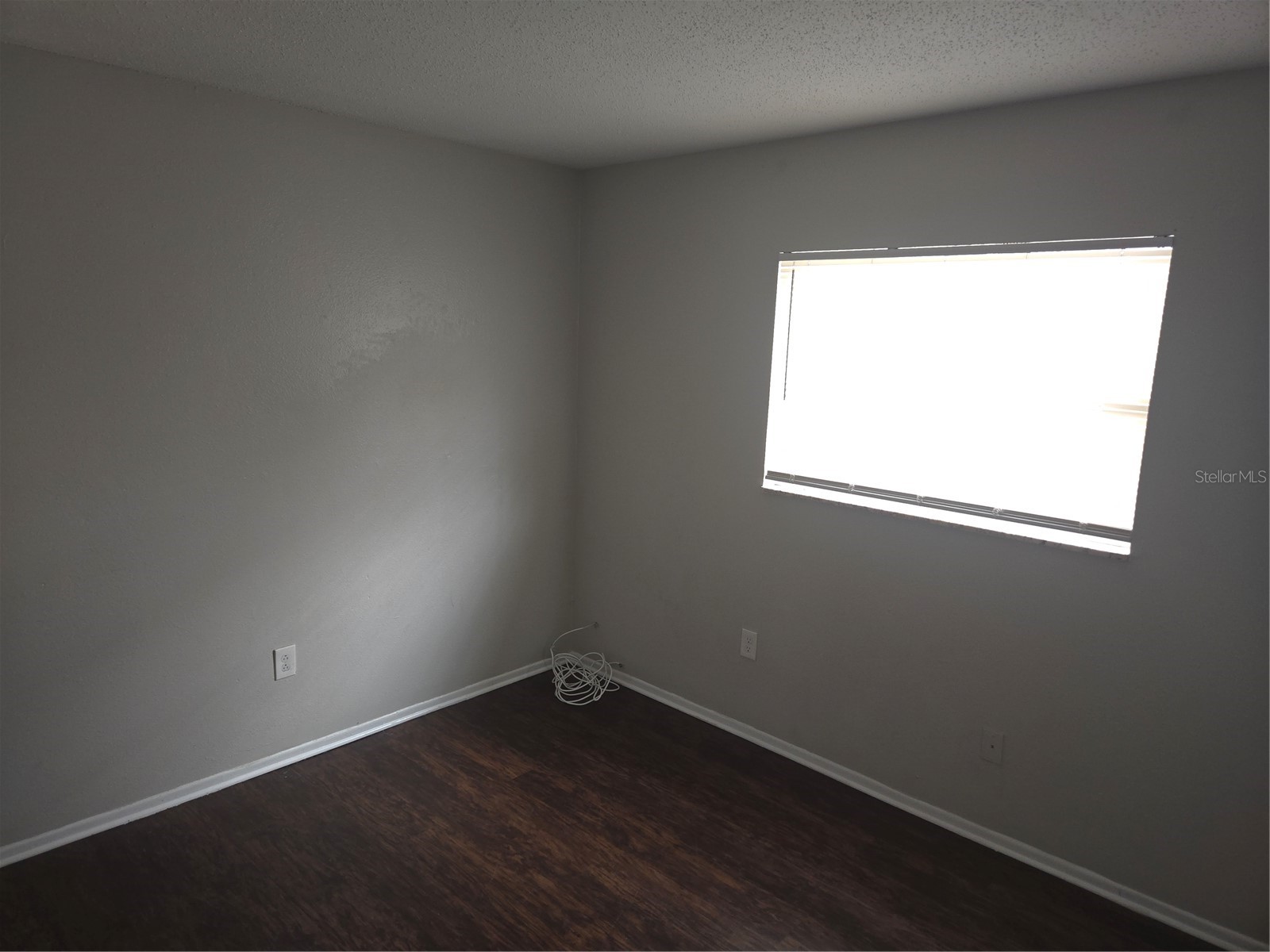 1741 Trotter Road #A Largo FL 33774 TB8495339 image8