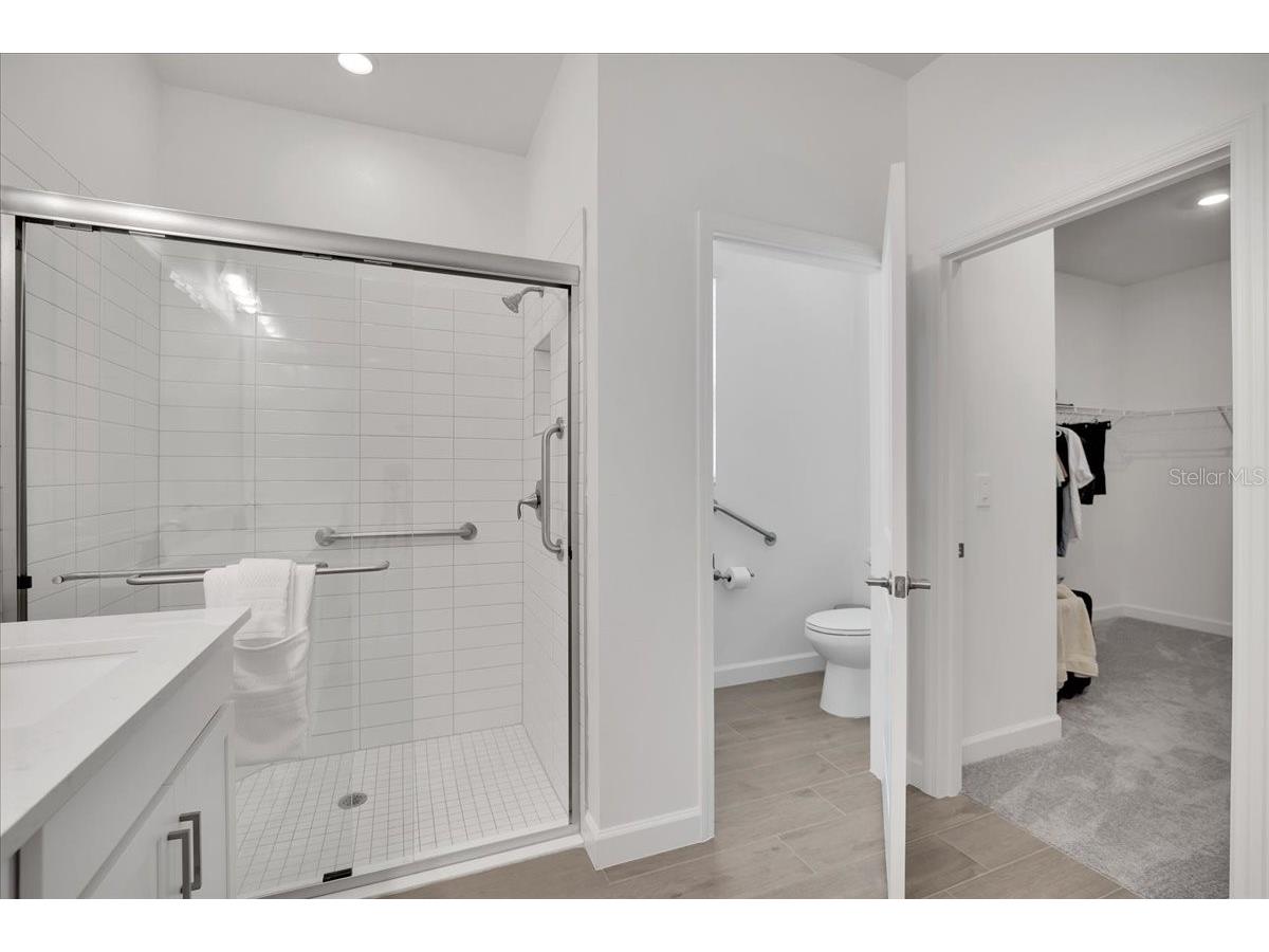 17410 Holly Well Avenue Wimauma FL 33598 TB8510671 image15