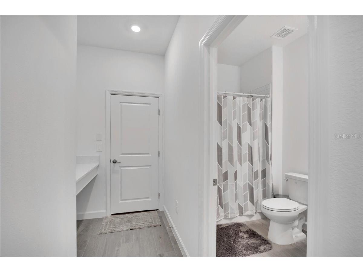 17410 Holly Well Avenue Wimauma FL 33598 TB8510671 image21