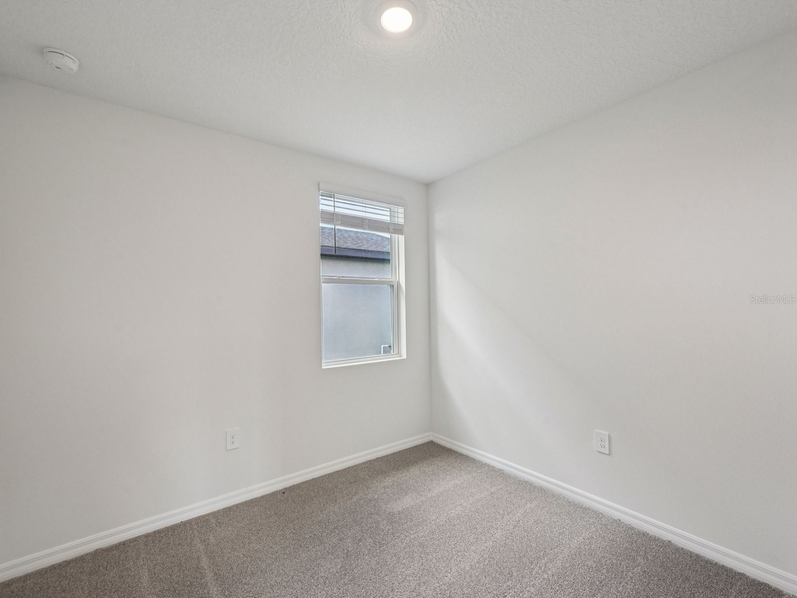 17411 Green Groove Drive Brooksville FL 34601 TB8501393 image14