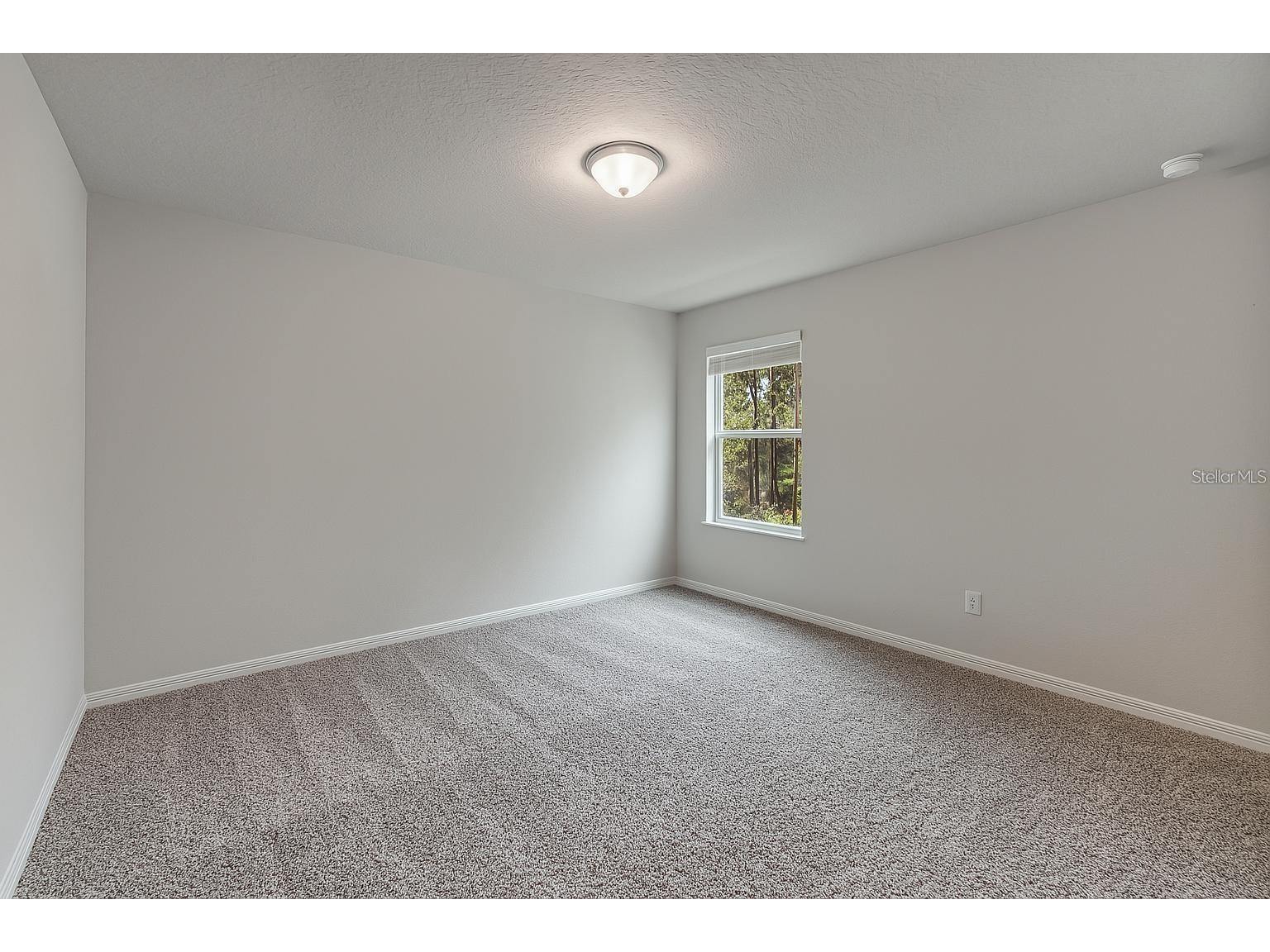 17411 Million Lakes Court Clermont FL 34714 O6369929 image11
