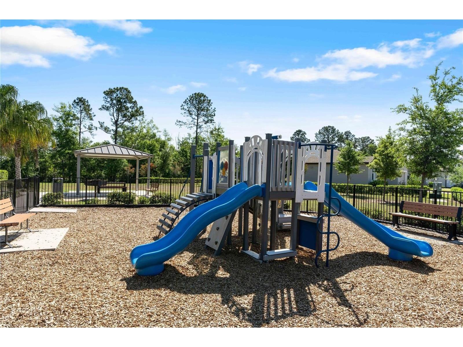17411 Million Lakes Court Clermont FL 34714 O6369929 image18