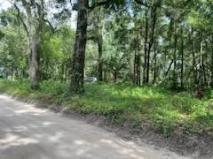17411 NW 110 Avenue Alachua FL 32615 GC532517 image3