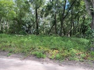 17411 NW 110 Avenue Alachua FL 32615 GC532517 image6