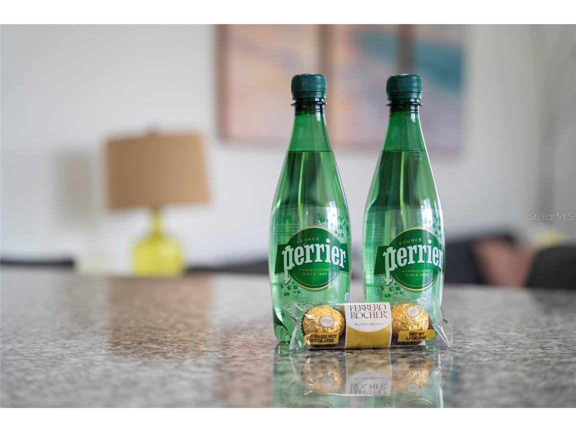 17412 Placidity Avenue Clermont FL 34714 S5134319 image37