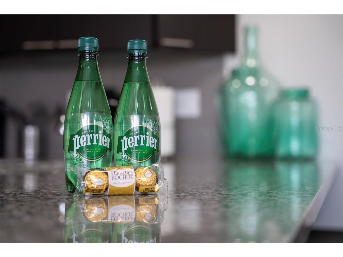 17412 Placidity Avenue Clermont FL 34714 S5134319 image38