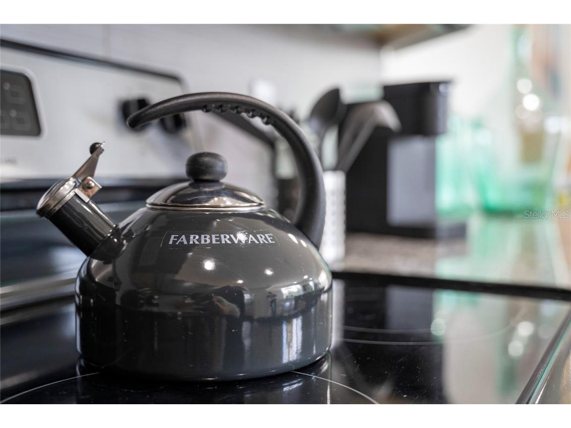 17412 Placidity Avenue Clermont FL 34714 S5134319 image39