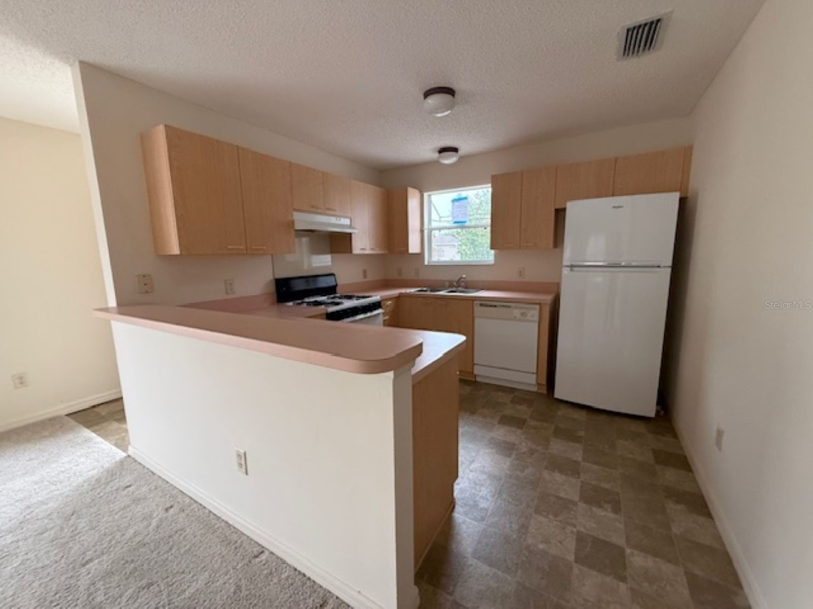17412 SE 81st Newberry Court The Villages FL 32162 OM722307 image4