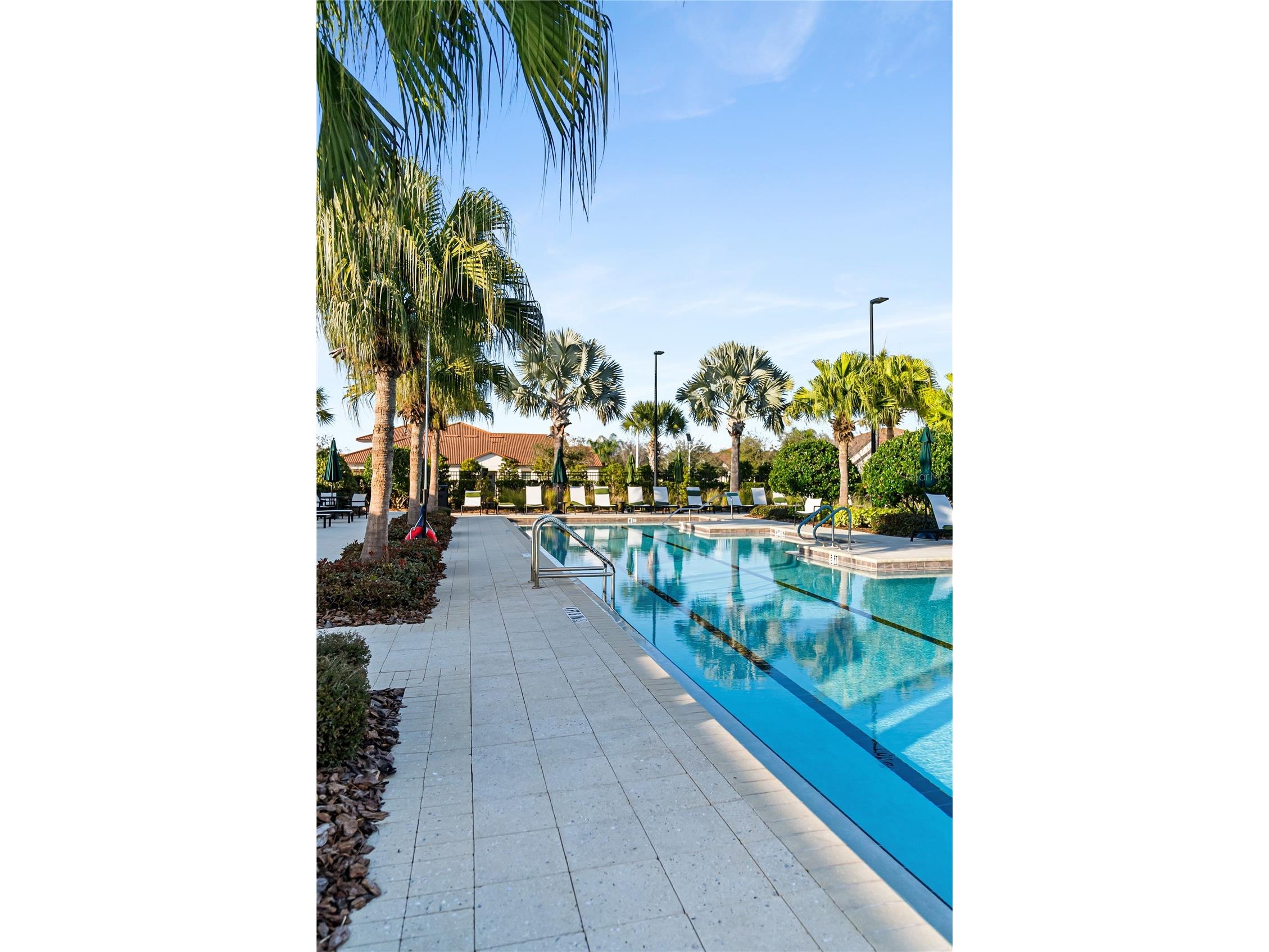 17414 Holly Well Avenue Wimauma FL 33598 A4683158 image31