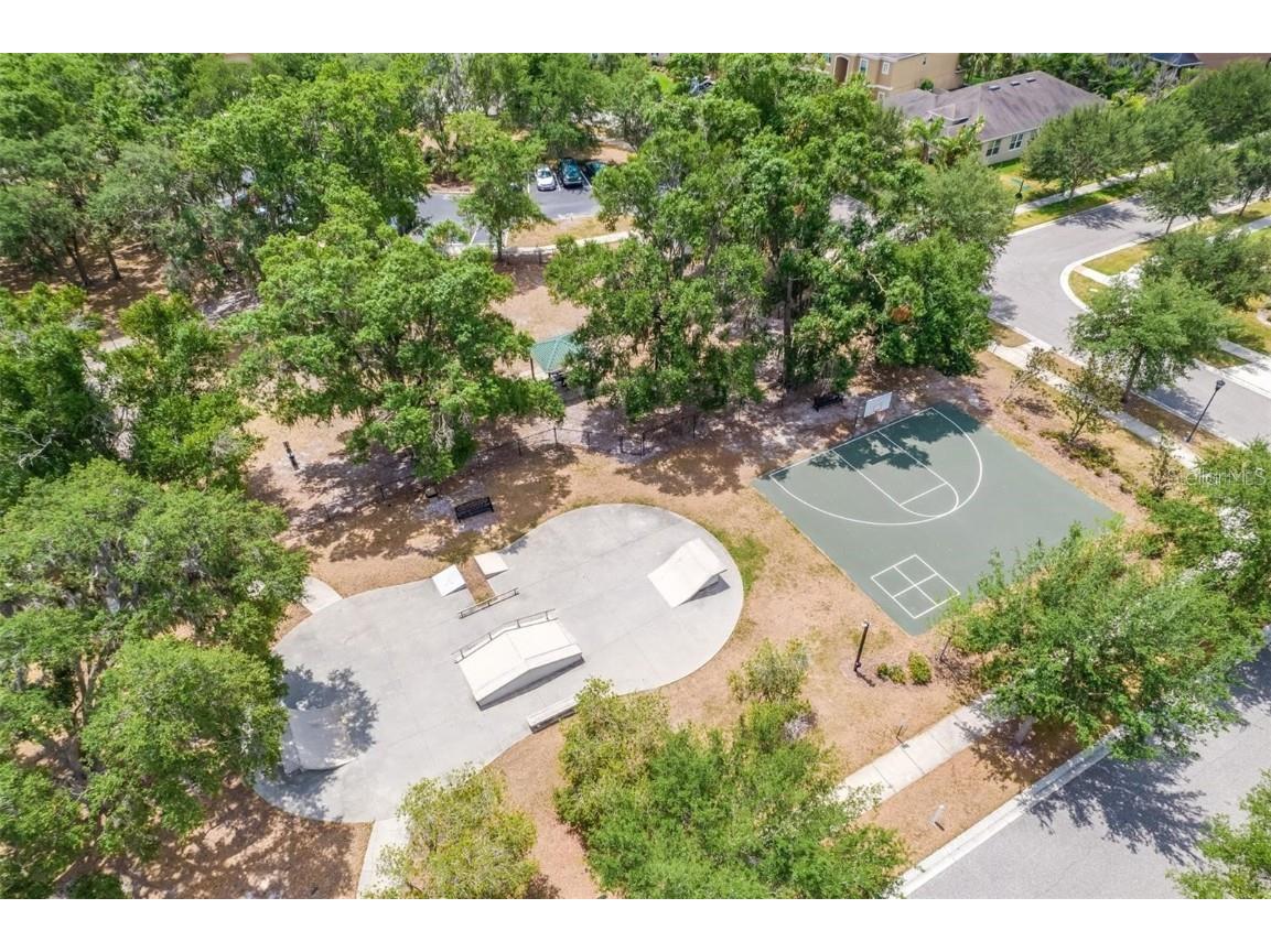 17414 New Cross Circle Lithia FL 33547 TB8409122 image13