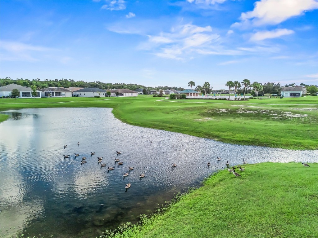 17414 SE 123rd Terrace Summerfield FL 34491 G5103285 image53