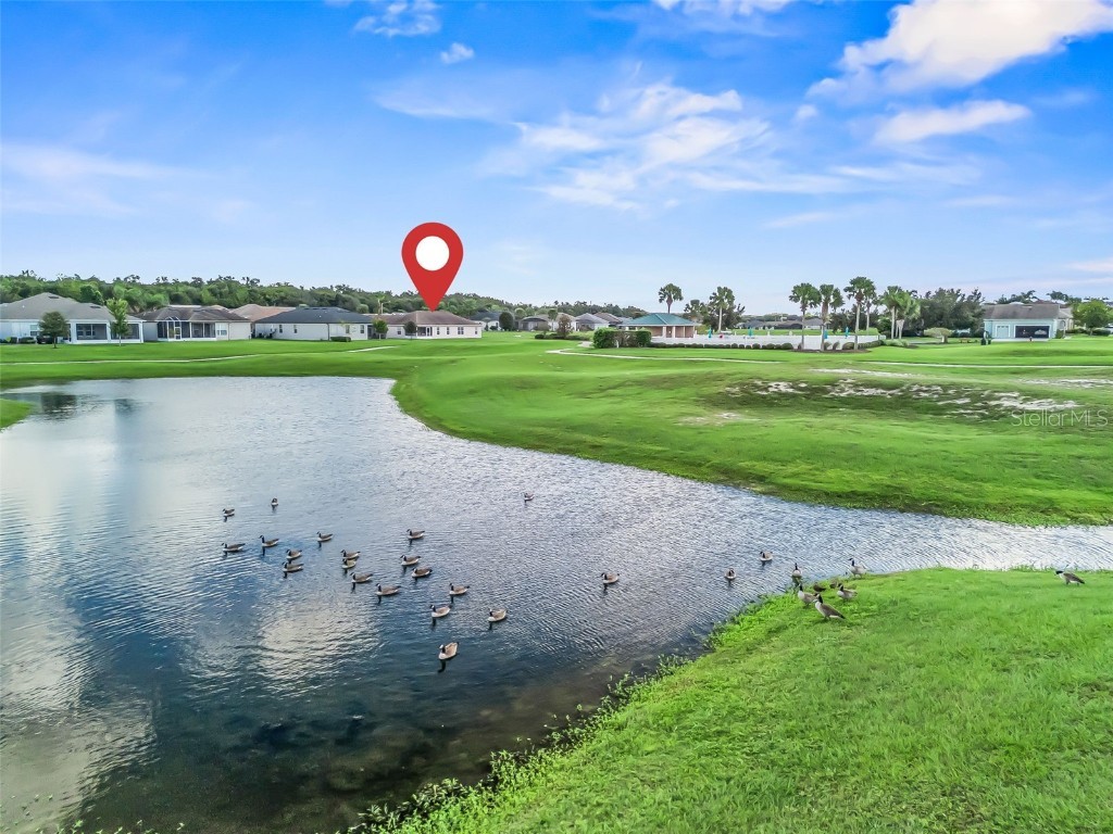 17414 SE 123rd Terrace Summerfield FL 34491 G5103285 image54