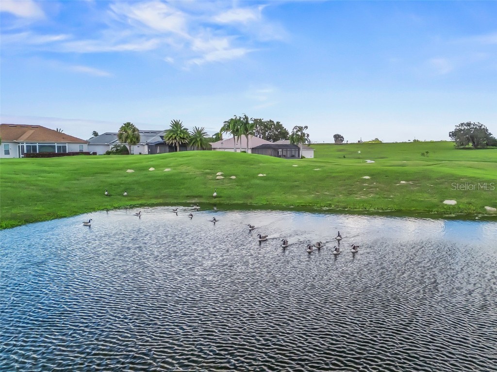 17414 SE 123rd Terrace Summerfield FL 34491 G5103285 image55