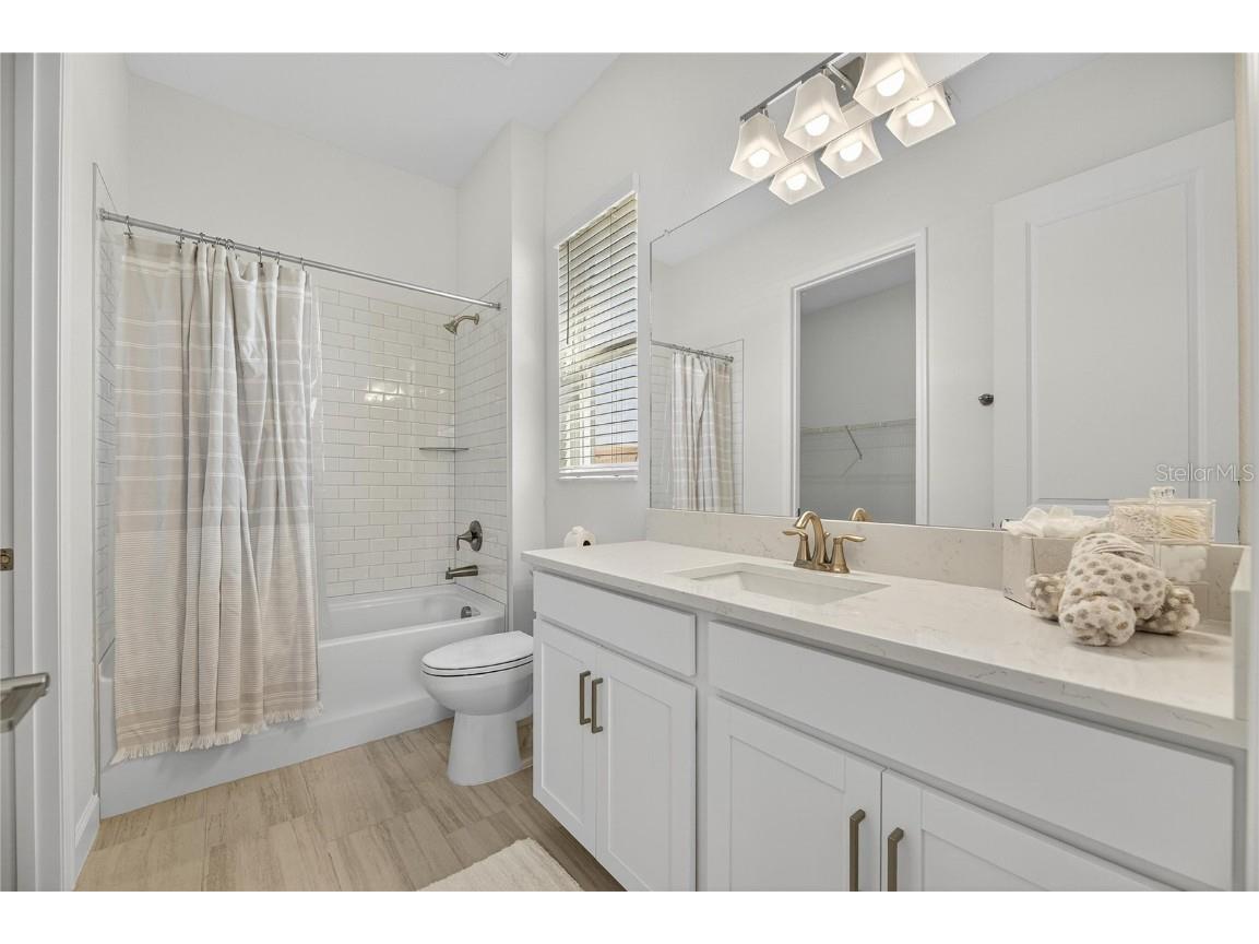 17415 Holly Well Avenue Wimauma FL 33598 TB8445891 image10