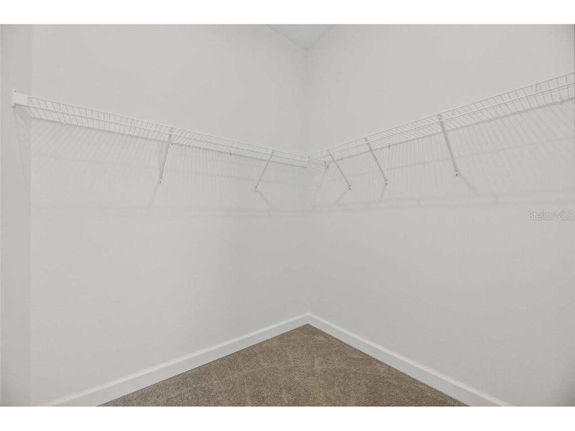 17415 Holly Well Avenue Wimauma FL 33598 TB8445891 image12