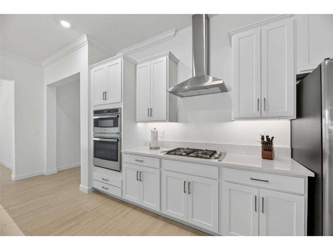 17415 Holly Well Avenue Wimauma FL 33598 TB8445891 image22