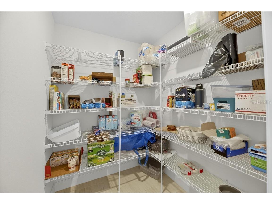 17415 Holly Well Avenue Wimauma FL 33598 TB8445891 image42