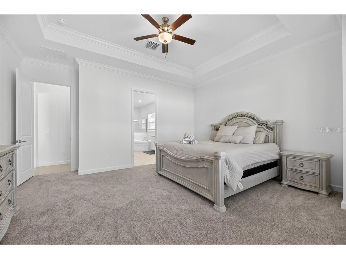 17415 Holly Well Avenue Wimauma FL 33598 TB8445891 image44