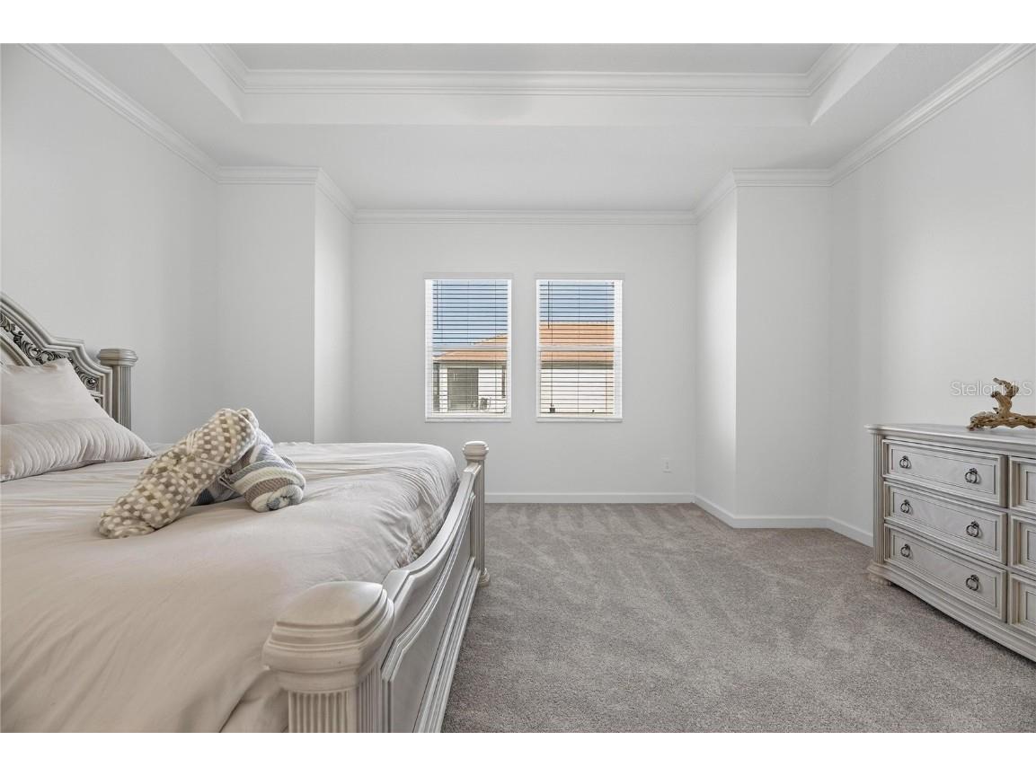 17415 Holly Well Avenue Wimauma FL 33598 TB8445891 image47