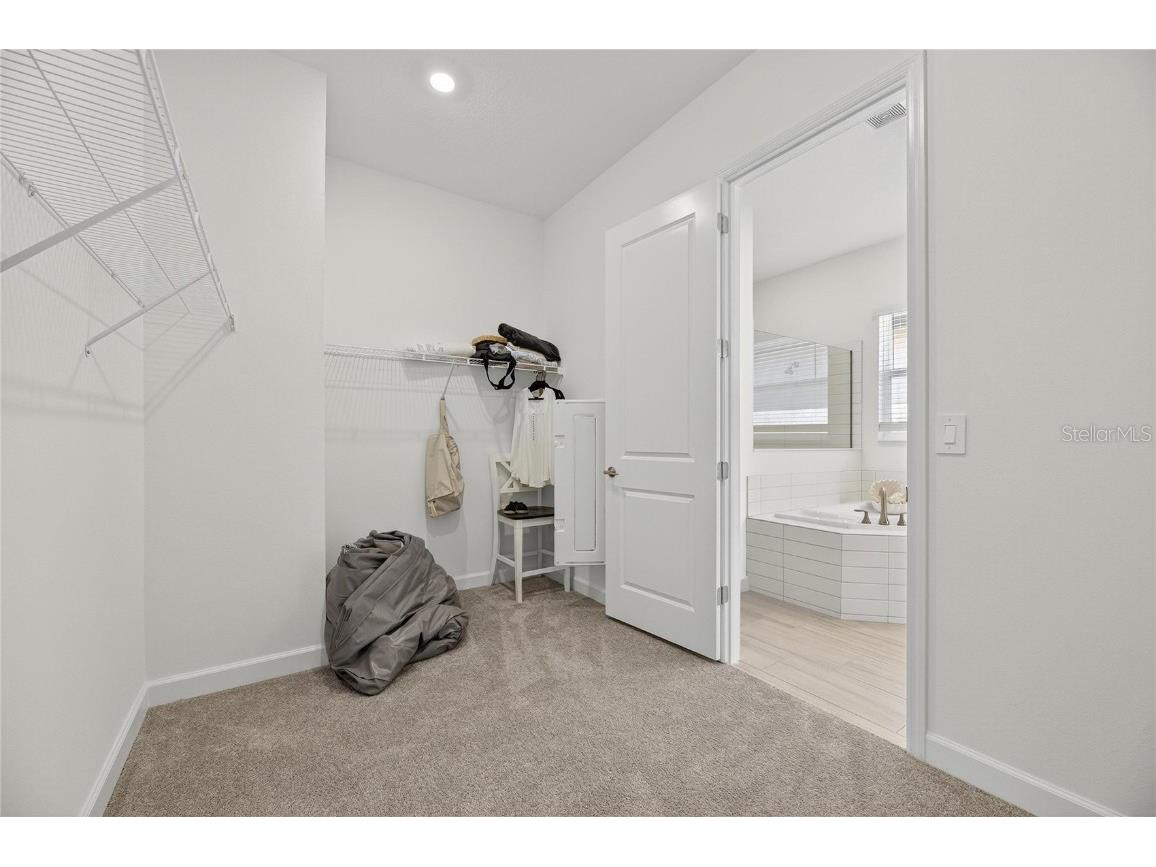 17415 Holly Well Avenue Wimauma FL 33598 TB8445891 image52