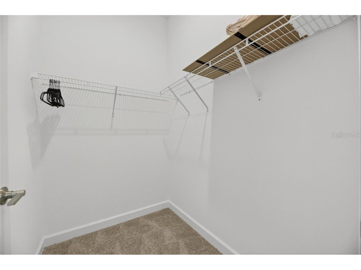 17415 Holly Well Avenue Wimauma FL 33598 TB8445891 image57