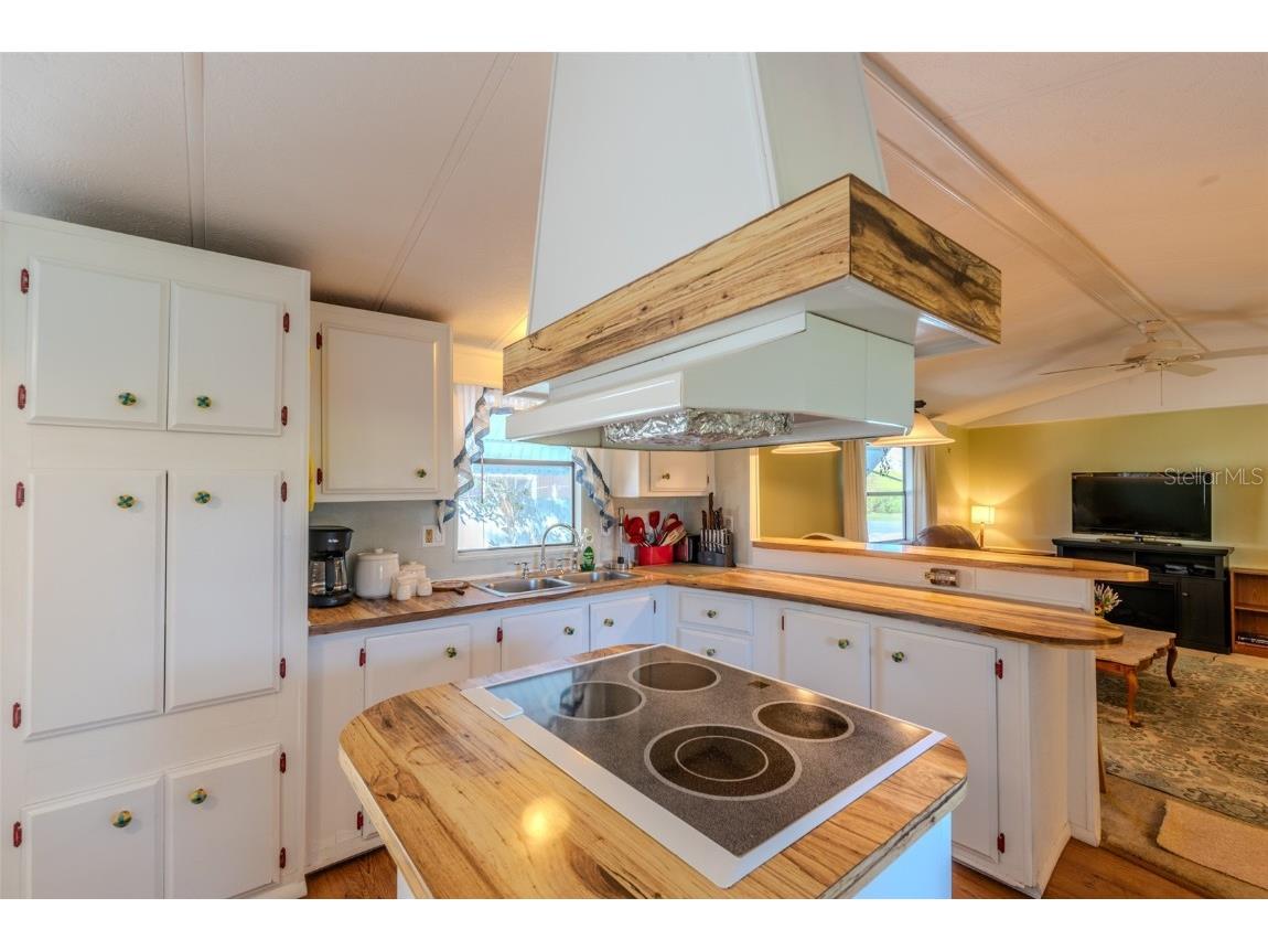 17416 Eve Dr. Montverde FL 34756 G5104439 image32