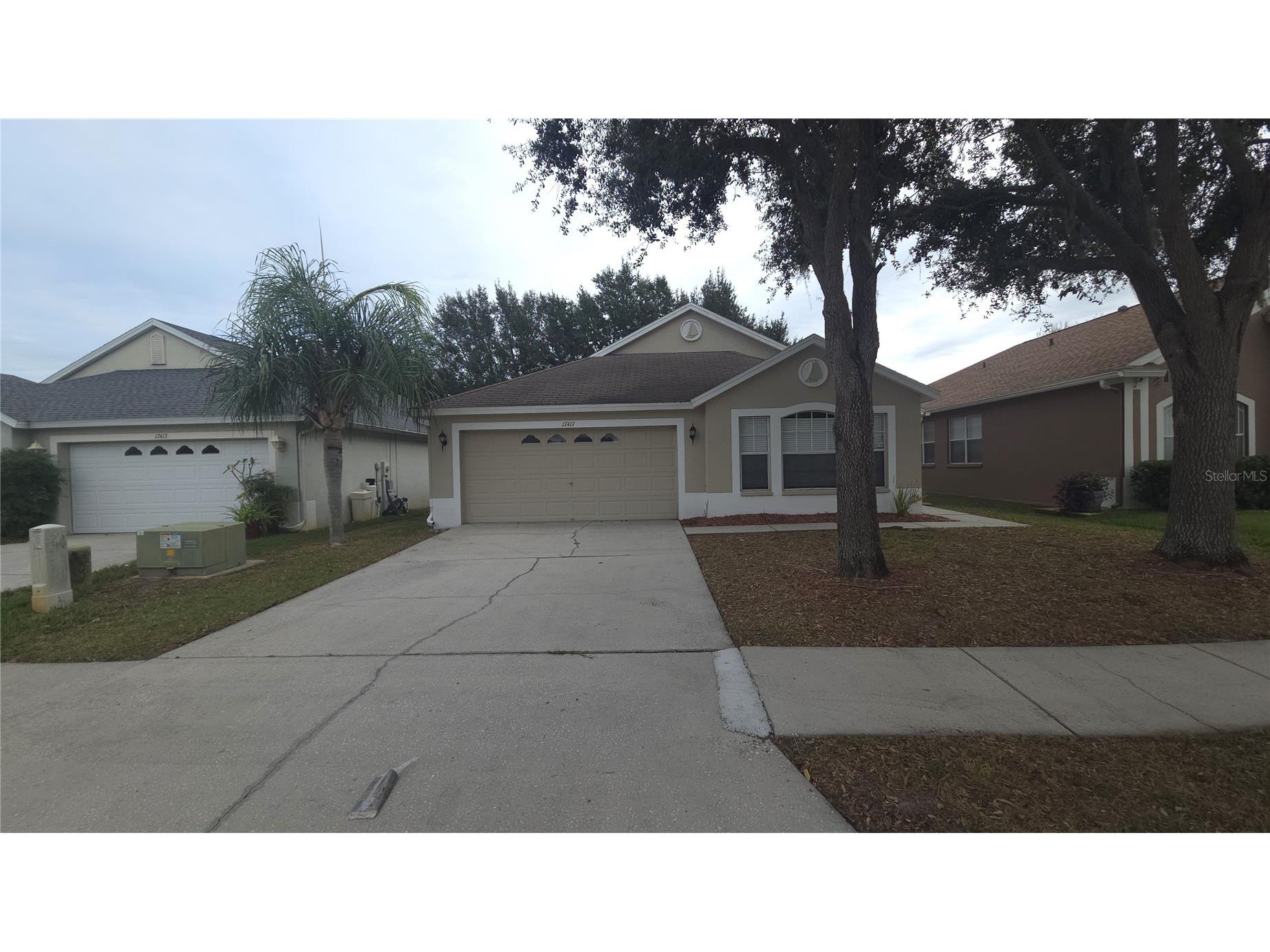 17417 Lawn Orchid Loop Land O Lakes FL 34638 O6366859 image1