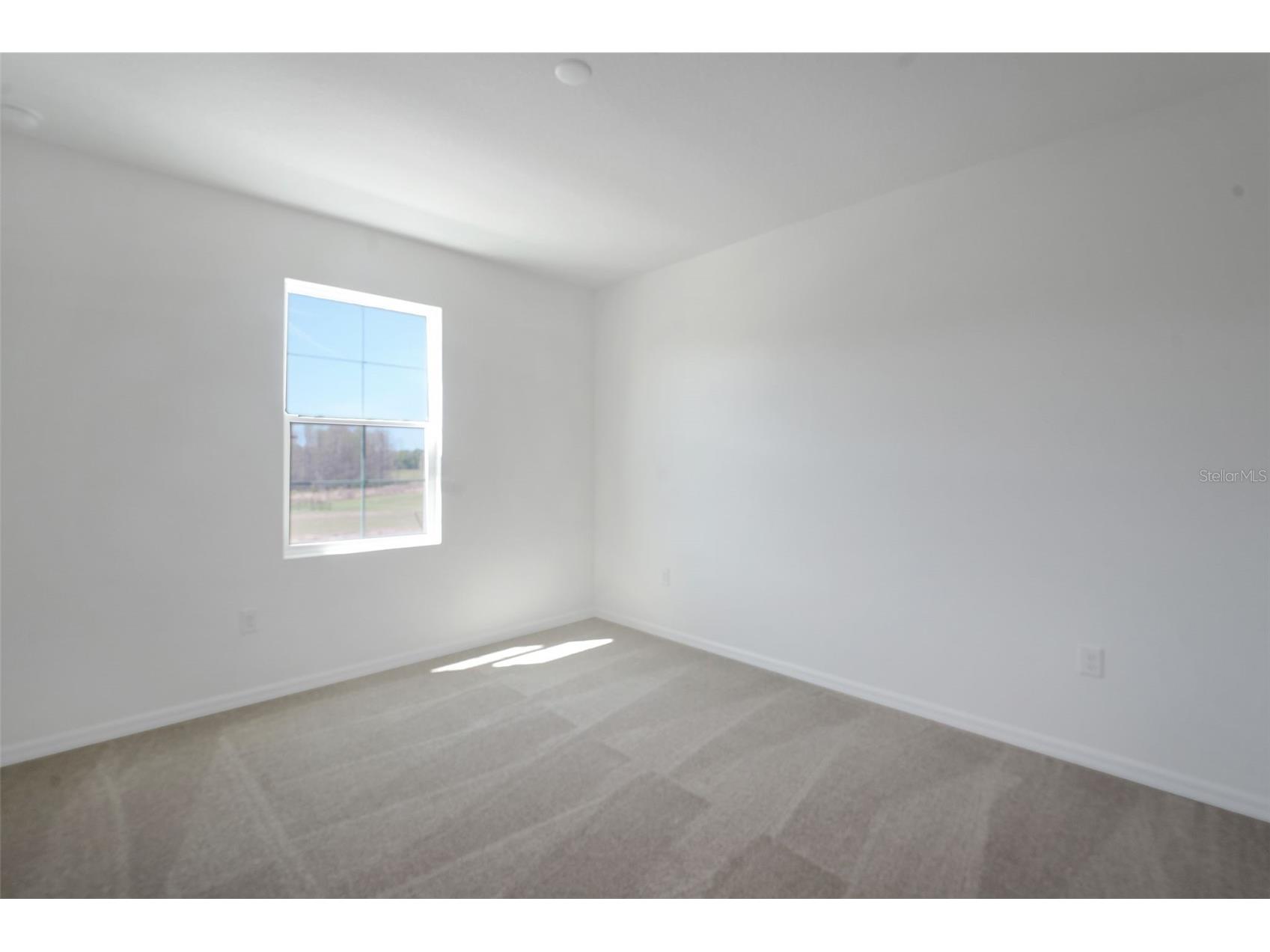 17417 Valleywood Parkway Land O Lakes FL 34638 G5107589 image36