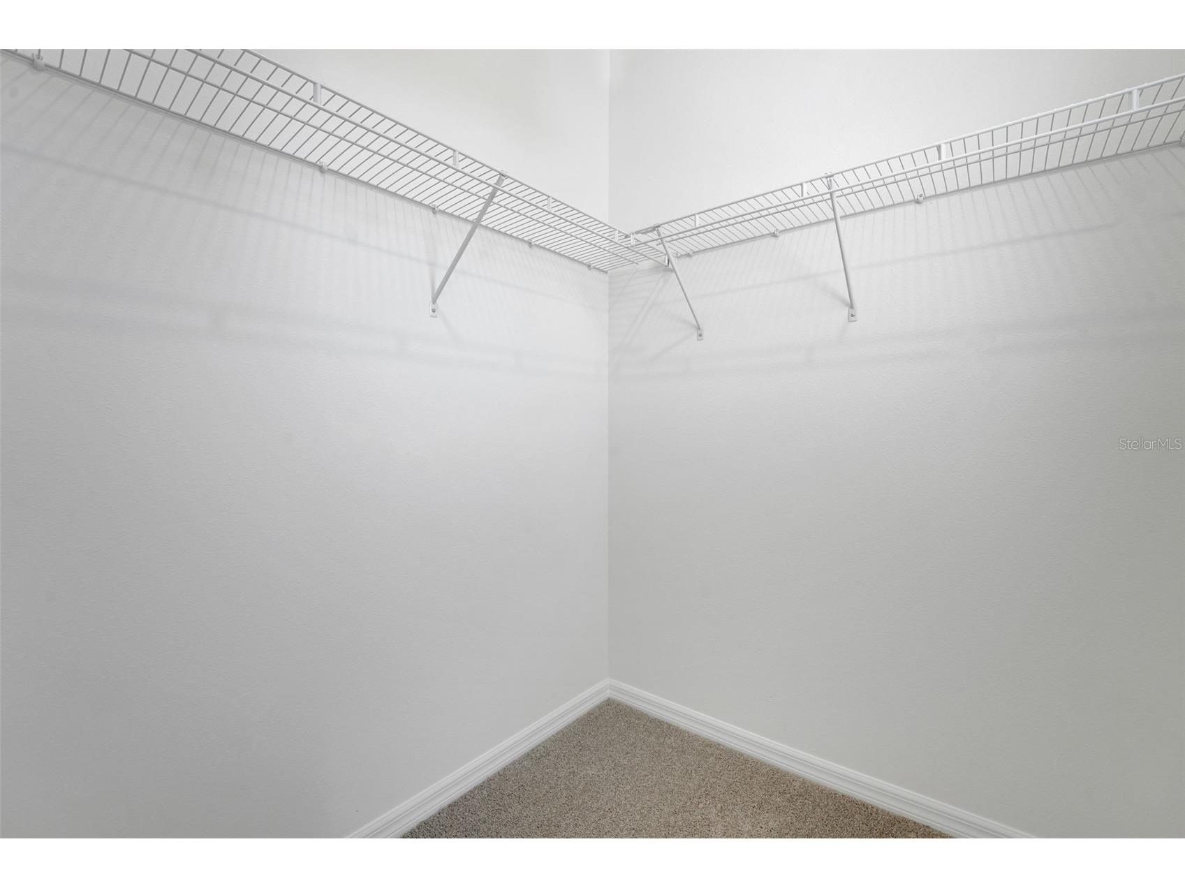 17417 Valleywood Parkway Land O Lakes FL 34638 G5107589 image39