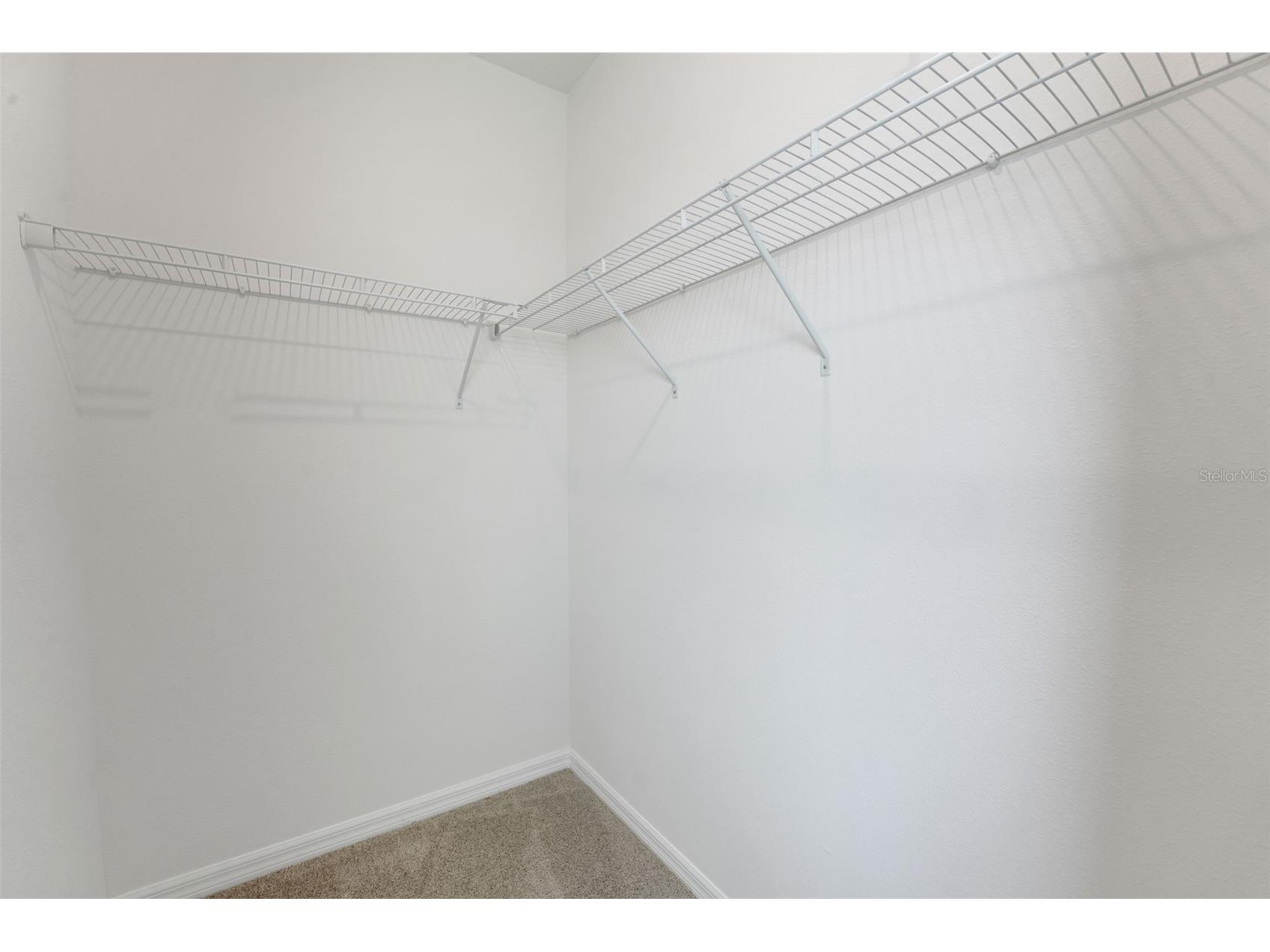 17417 Valleywood Parkway Land O Lakes FL 34638 G5107589 image50
