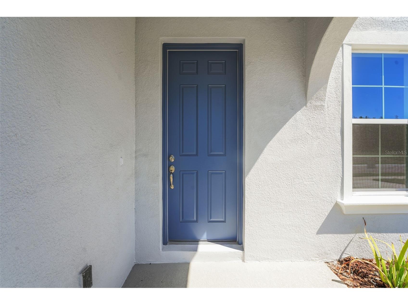 17417 Valleywood Parkway Land O Lakes FL 34638 G5107589 image6
