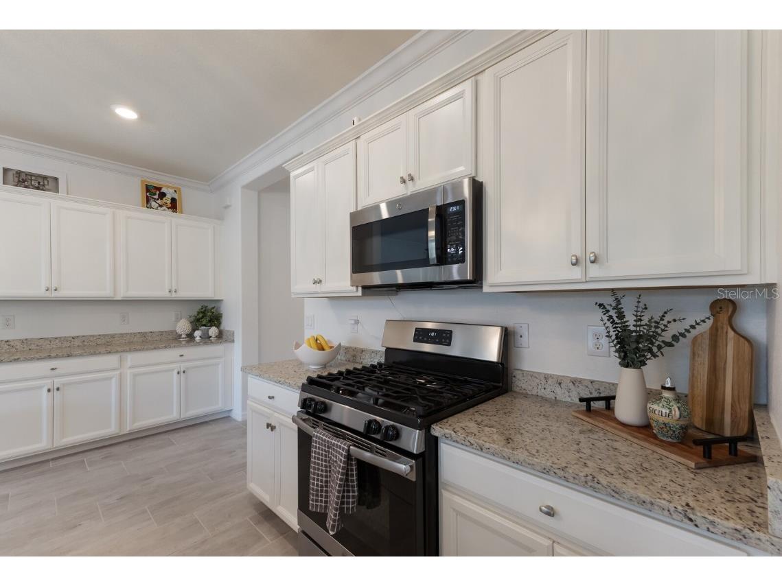 17418 Blue Ridge Place Lakewood Ranch FL 34211 A4650123 image37