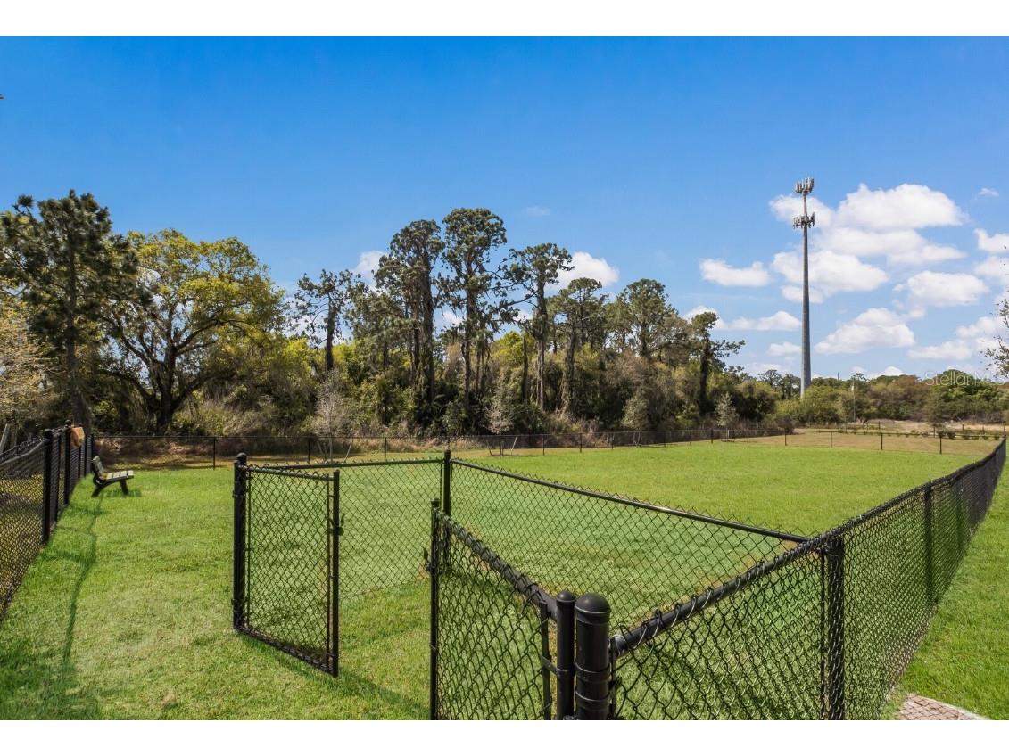 17418 Blue Ridge Place Lakewood Ranch FL 34211 A4650123 image72