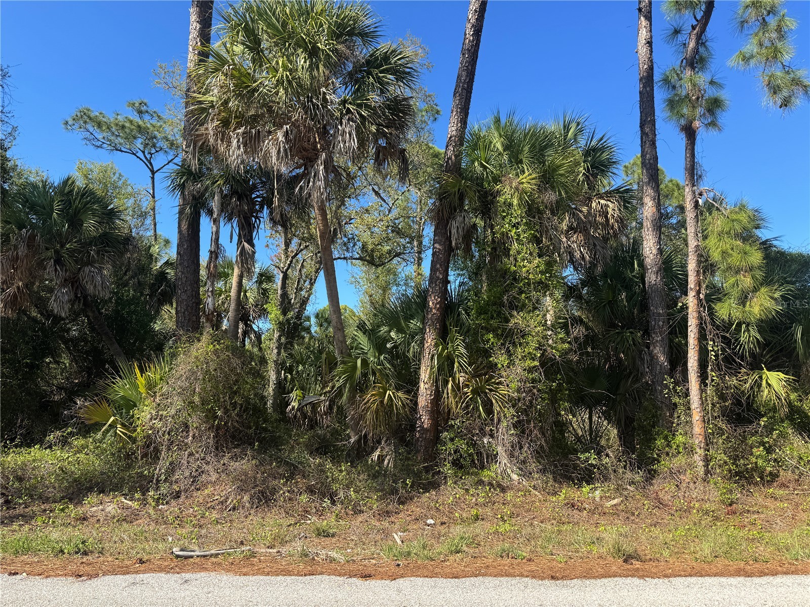 17418 Brighton Avenue Port Charlotte FL 33954 D6146610 image7