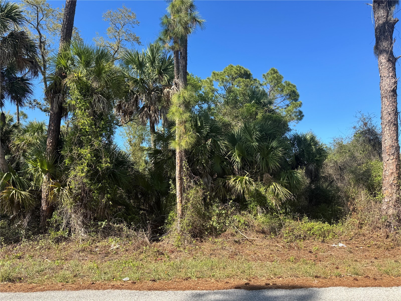 17418 Brighton Avenue Port Charlotte FL 33954 D6146610 image8