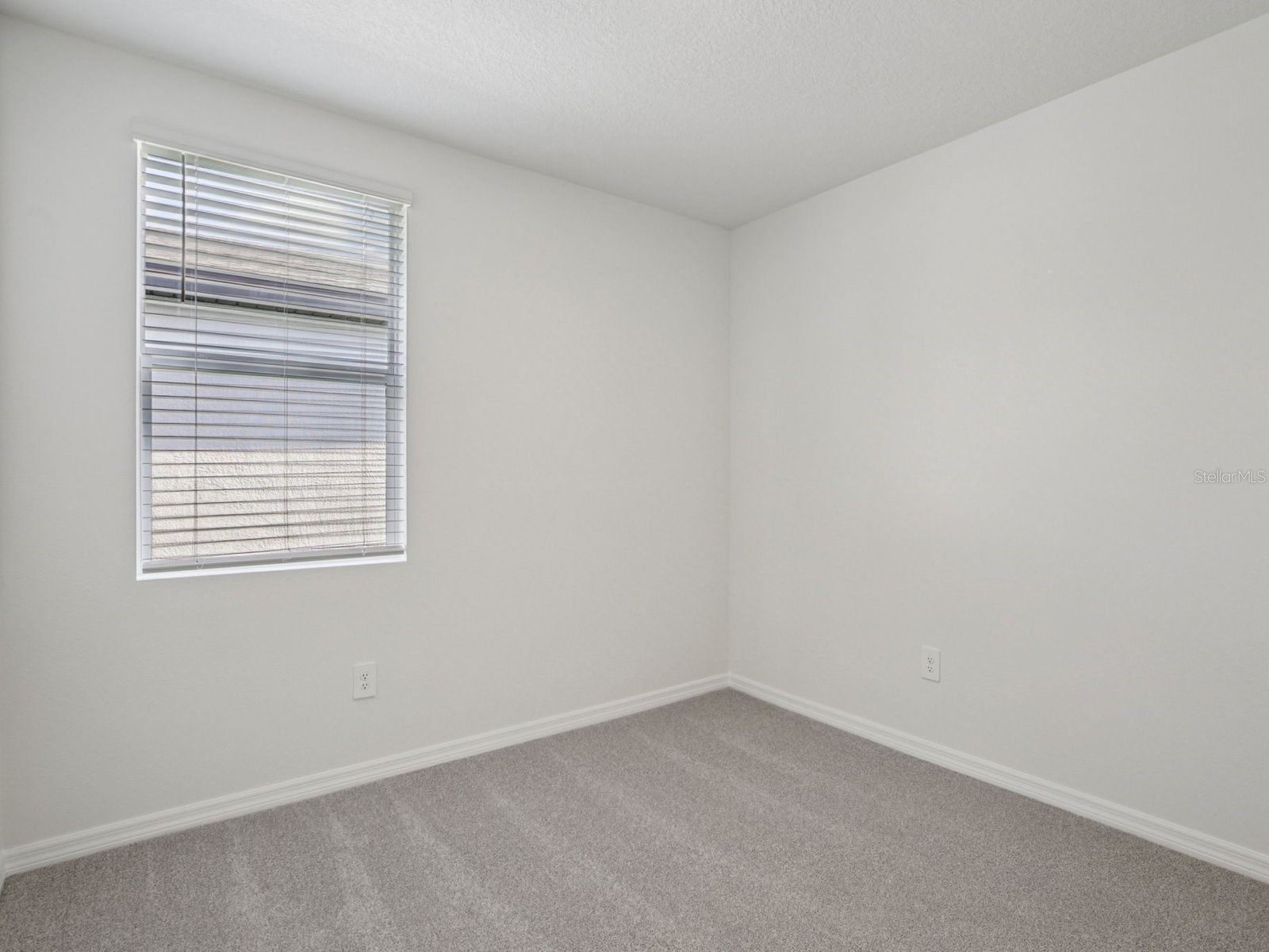 17419 Green Groove Drive Brooksville FL 34601 TB8504784 image8