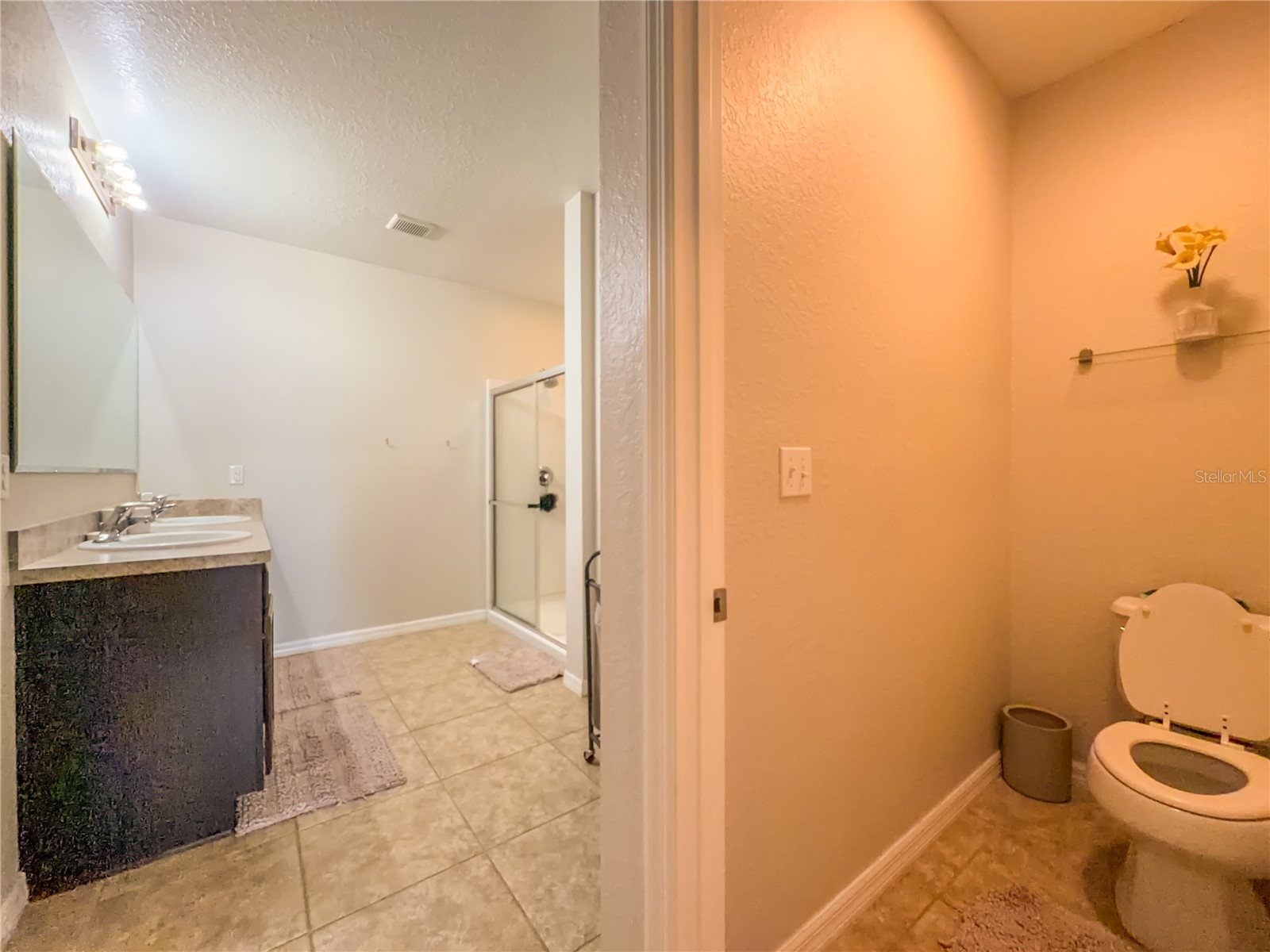 1742 Van Gogh Drive Auburndale FL 33823 O6402134 image23