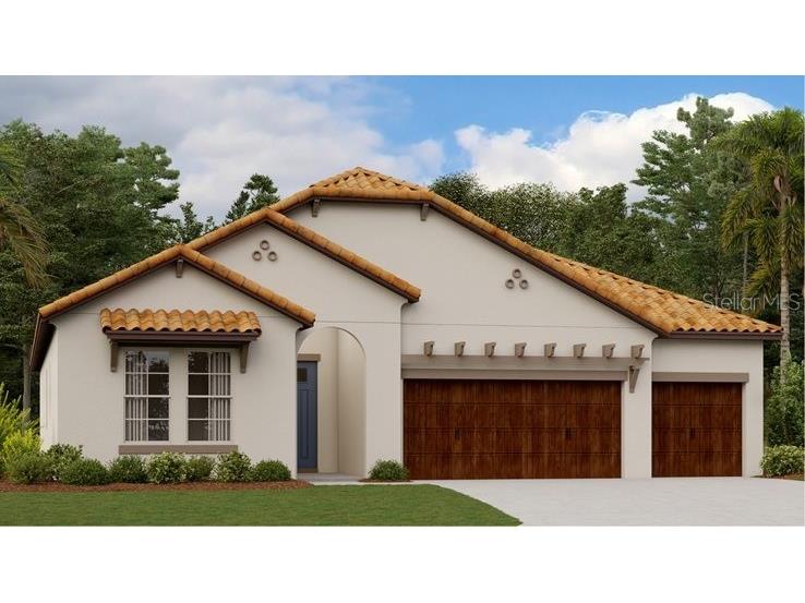 17420 Holly Well Avenue Wimauma FL 33598 T3512673 image1