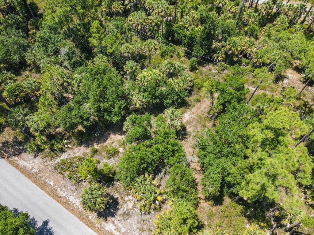 17420 Iago Avenue Port Charlotte FL 33954 C7526236 image3