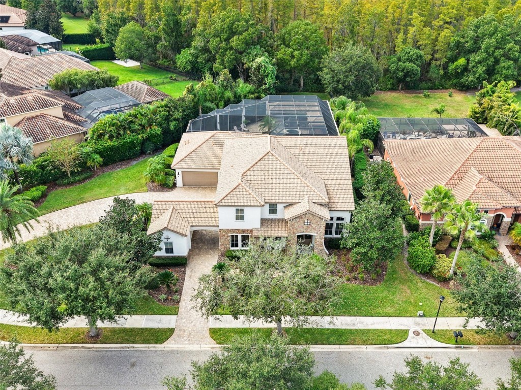 17420 Varona Place Lutz FL 33548 TB8445341 image3